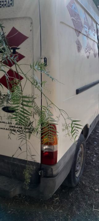 Ford Transit 2001