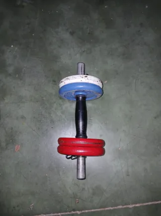 Mancuernas ajustables con discos de colores