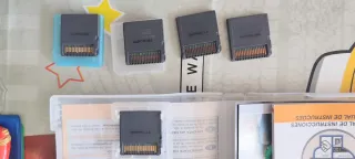 Lote 5 Juegos Nintendo DS (Más Brain Training, Exp