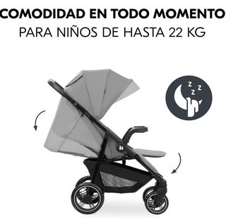 Carrito Hauck Shop N Care Gris