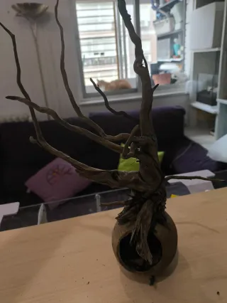 Tronco decorativo para acuario