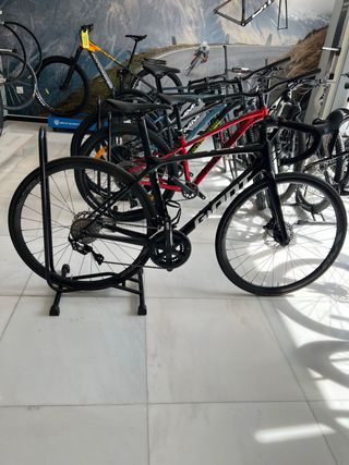 Giant TCR Talla S