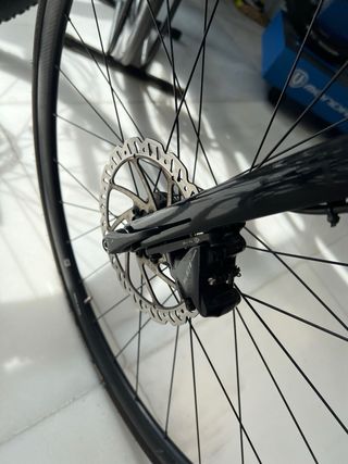 Giant TCR Talla S