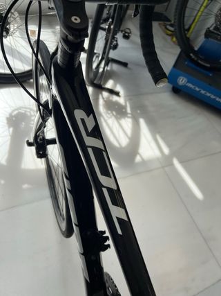 Giant TCR Talla S