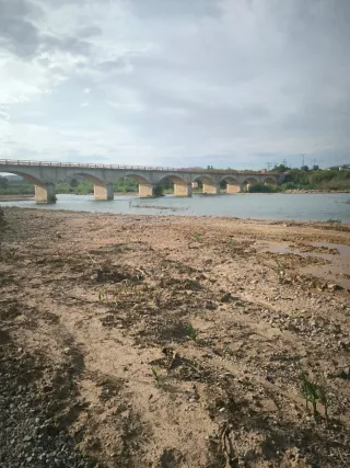 Bajo de moto Cheste