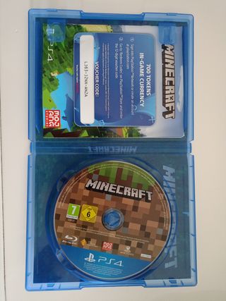 Minecraft PS4 VR Compatible