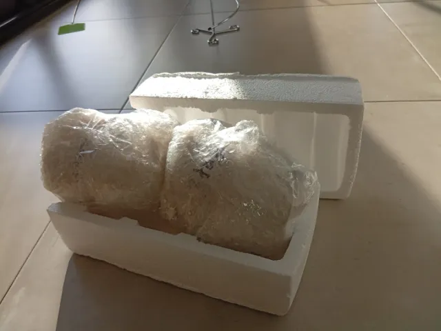 6 Tazas y platitos Café Espresso Porcelain Sajonia