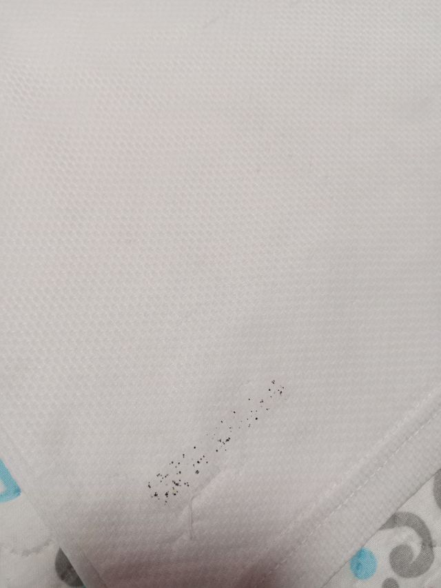 Conjunto Valencia T.10 años Puma y camiseta térmic