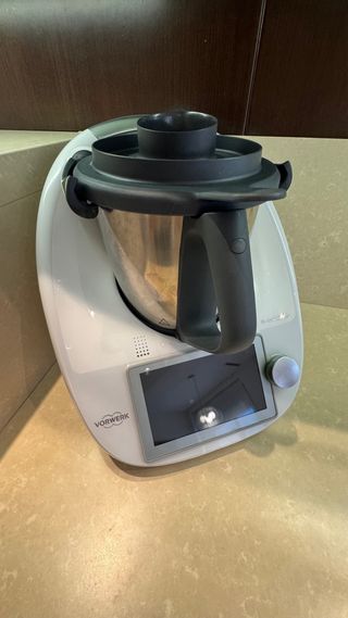 Thermomix TM6 - 9 meses de uso 