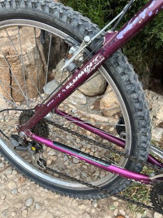 Bicicleta de Montaña Adulto
