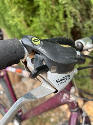Bicicleta de Montaña Adulto