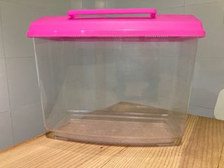 Pecera/Acuario