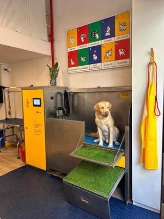 Traspaso de local comercial Autolavado de mascota