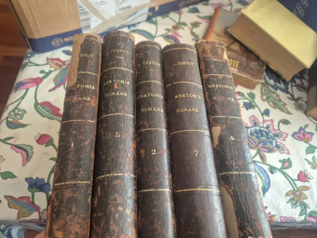 Tratado de Anatomía Humana