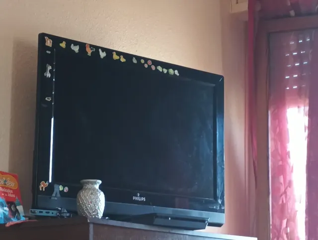 Televisor Philips Negro con Adornos