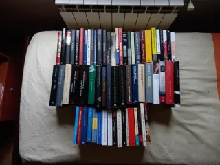 LOTE DE 64 LIBROS 