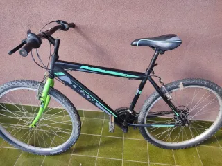 Bicicleta de montaña TEAM