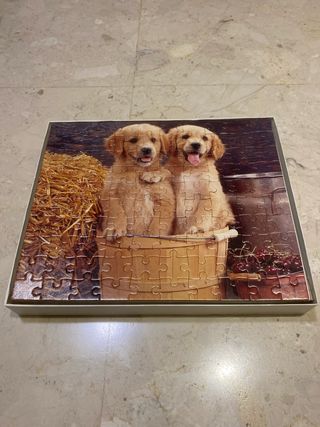 Puzzle 100 piezas cachorros golden retriever