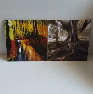 Set 4 Quadretti Paesaggi Foresta e Albero