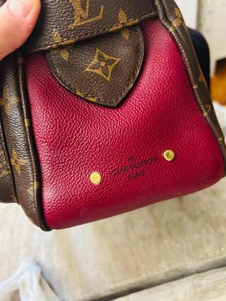 Bolso Louis Vuitton Marrón y Rosa
