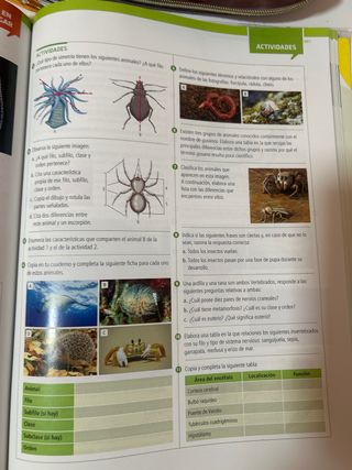 Bach 1 - Biologia Y Geologia - Practica - #somo...