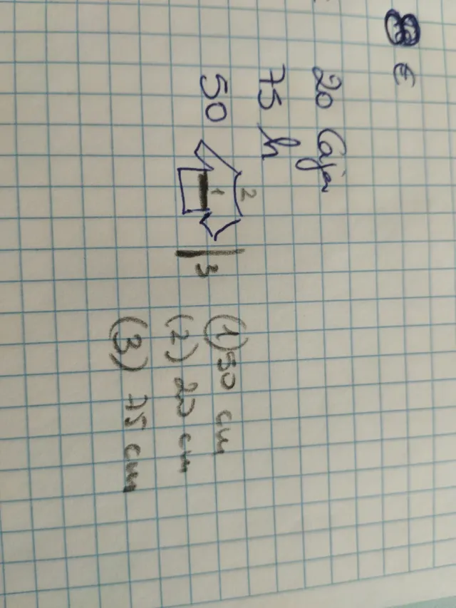 Disfraz ángel niña/niño con alas y diadema