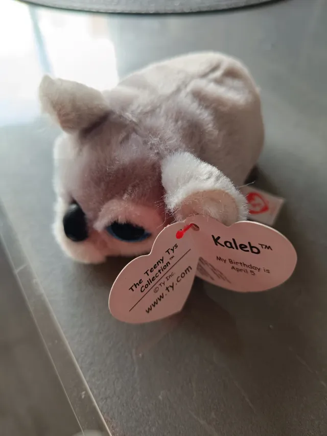 Peluche Koala Teeny Tys