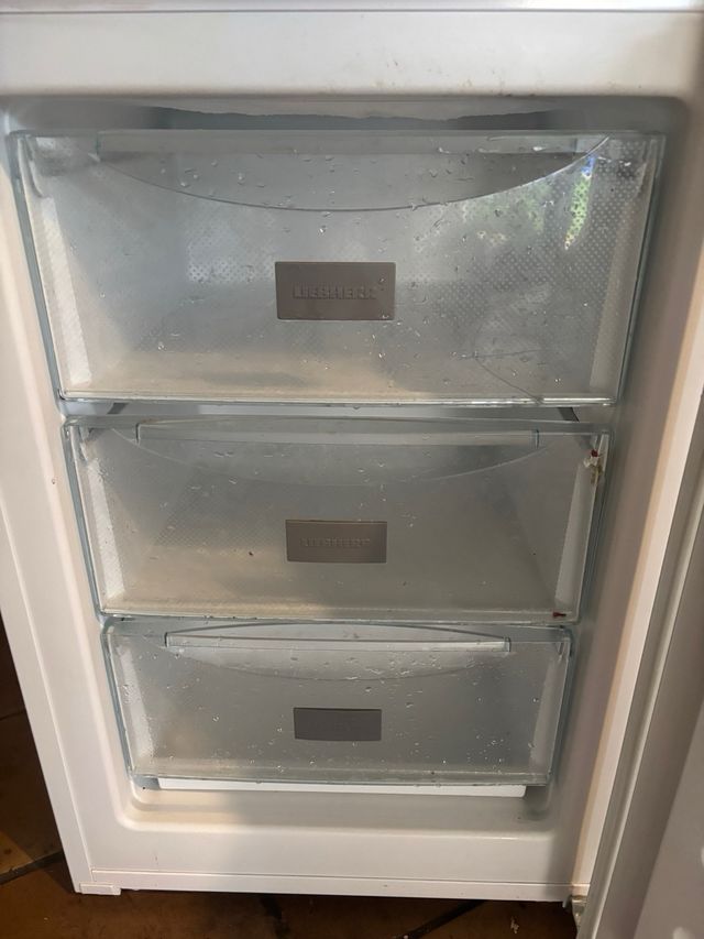 Congelador Liebherr Blanco