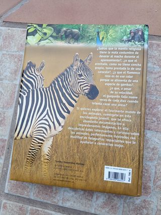 Pack Libros de ciencia y naturaleza infantil