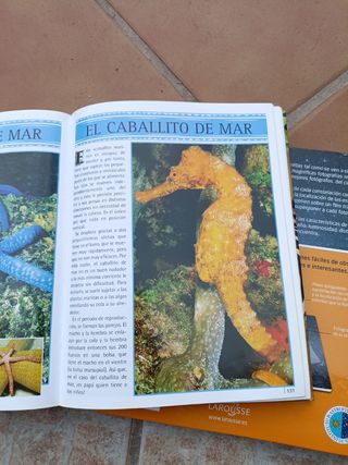 Pack Libros de ciencia y naturaleza infantil