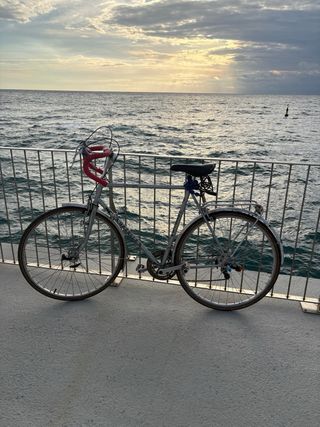 Bicicleta Gazelle Clásica Tour de France