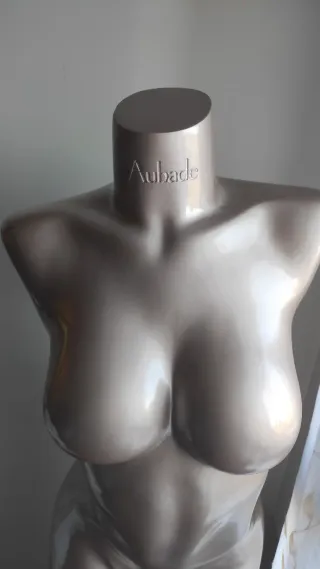 Maniquí Torso Mujer Aubade Plata