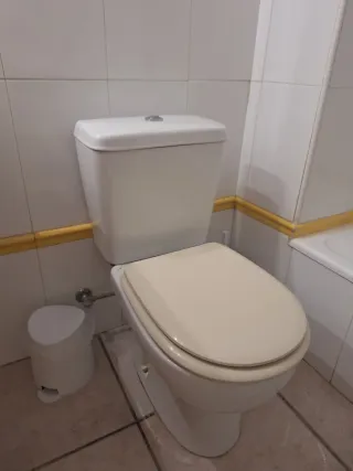 Inodoro blanco marca Sangrá
