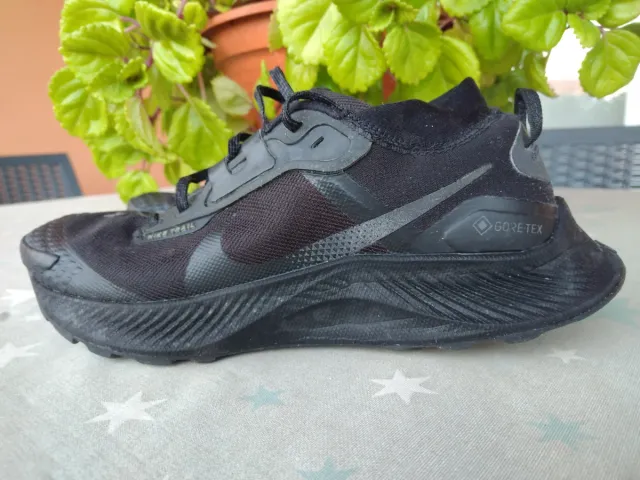 Zapatillas Nike Pegasus Trail Gore-Tex
