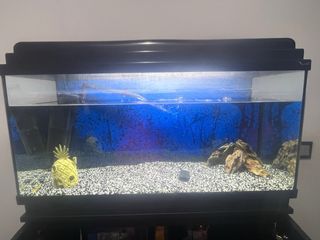 Acuario 85L con filtro y decoración