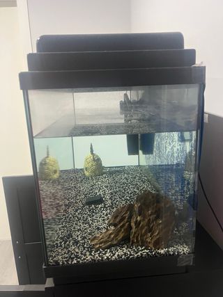 Acuario 85L con filtro y decoración