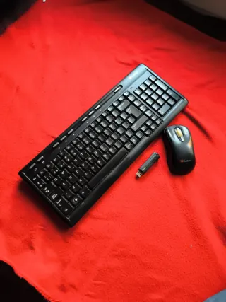 Teclado y Ratón Inalámbricos Negros