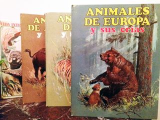 Lote libros animales y sus crías + Oceanía