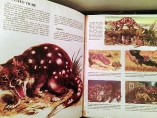 Lote libros animales y sus crías + Oceanía