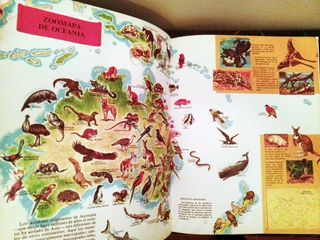 Lote libros animales y sus crías + Oceanía