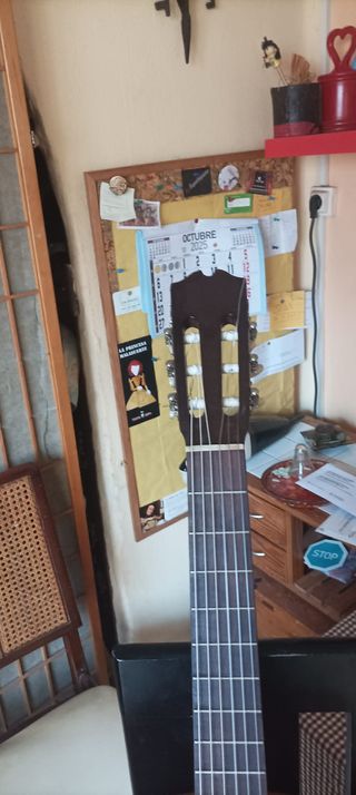 Guitarra Flamenca Sicomoro