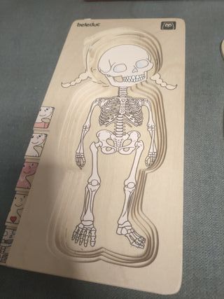 Puzzle Cuerpo Humano Beleduc Madera