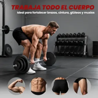 Barra de pesas con discos