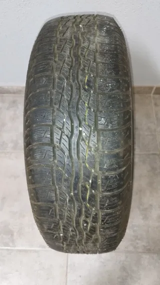 Rueda recambio tipo galleta 