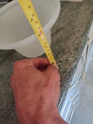 Tulipas de cristal para lámpara