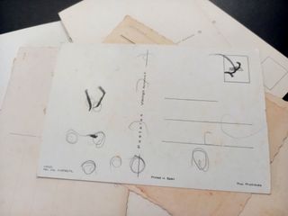 Lote 11 postales flores y rosas – CyZ / Cecami