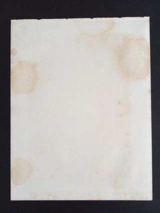 Litografia Originale d'Epoca: Svartvik (Svezia)