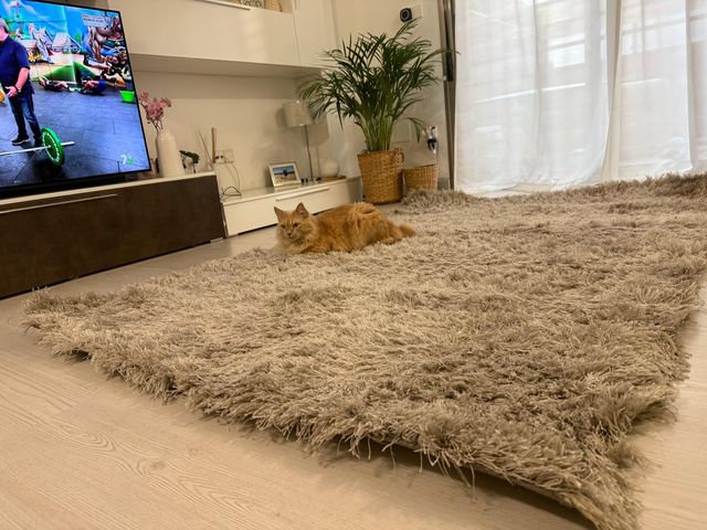 Alfombra salón pelo largo beige/gris