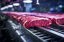 Carnicería Industrial Solar 15000W Trifásica