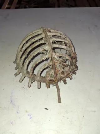 Reja de tortuga para alcantarilla antigua